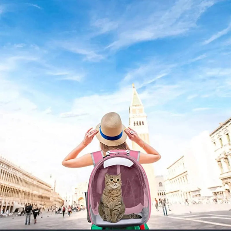 Mochila para transportar animais de estimação, bolha transparente