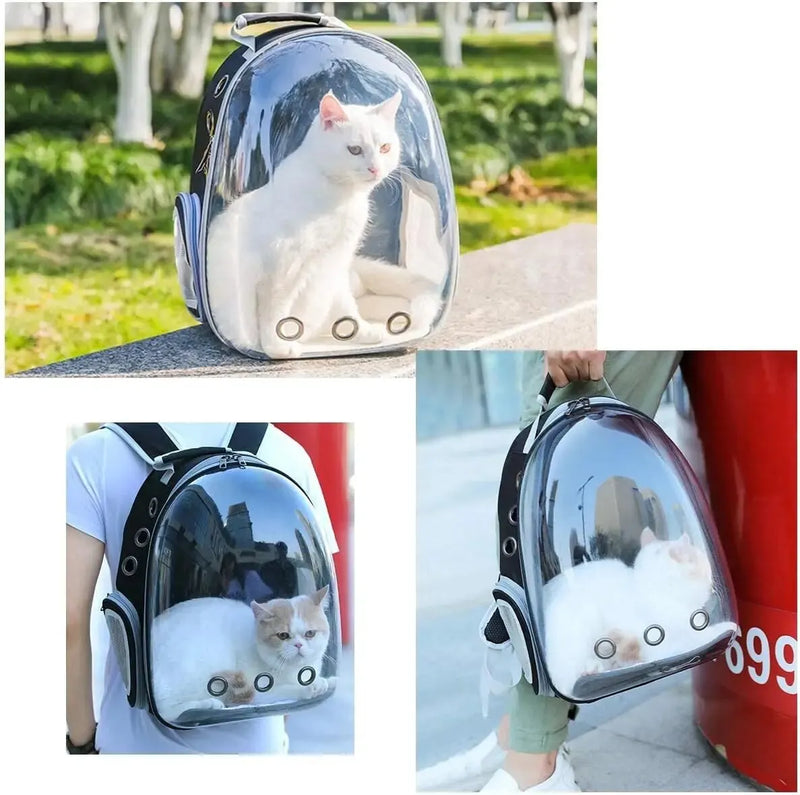 Mochila para transportar animais de estimação, bolha transparente