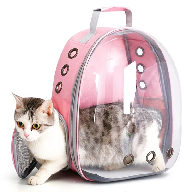 Mochila para transportar animais de estimação, bolha transparente